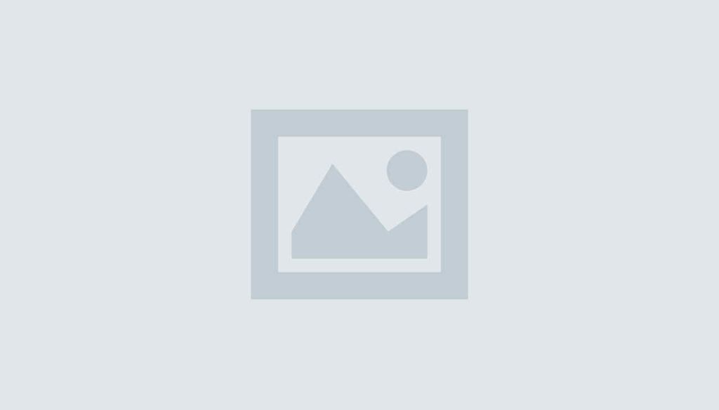 Lorem Ipsum. Proin gravida nibh vel velit auctor aliquet. Aenean sollicitudin, lorem quis bibendum auctor,