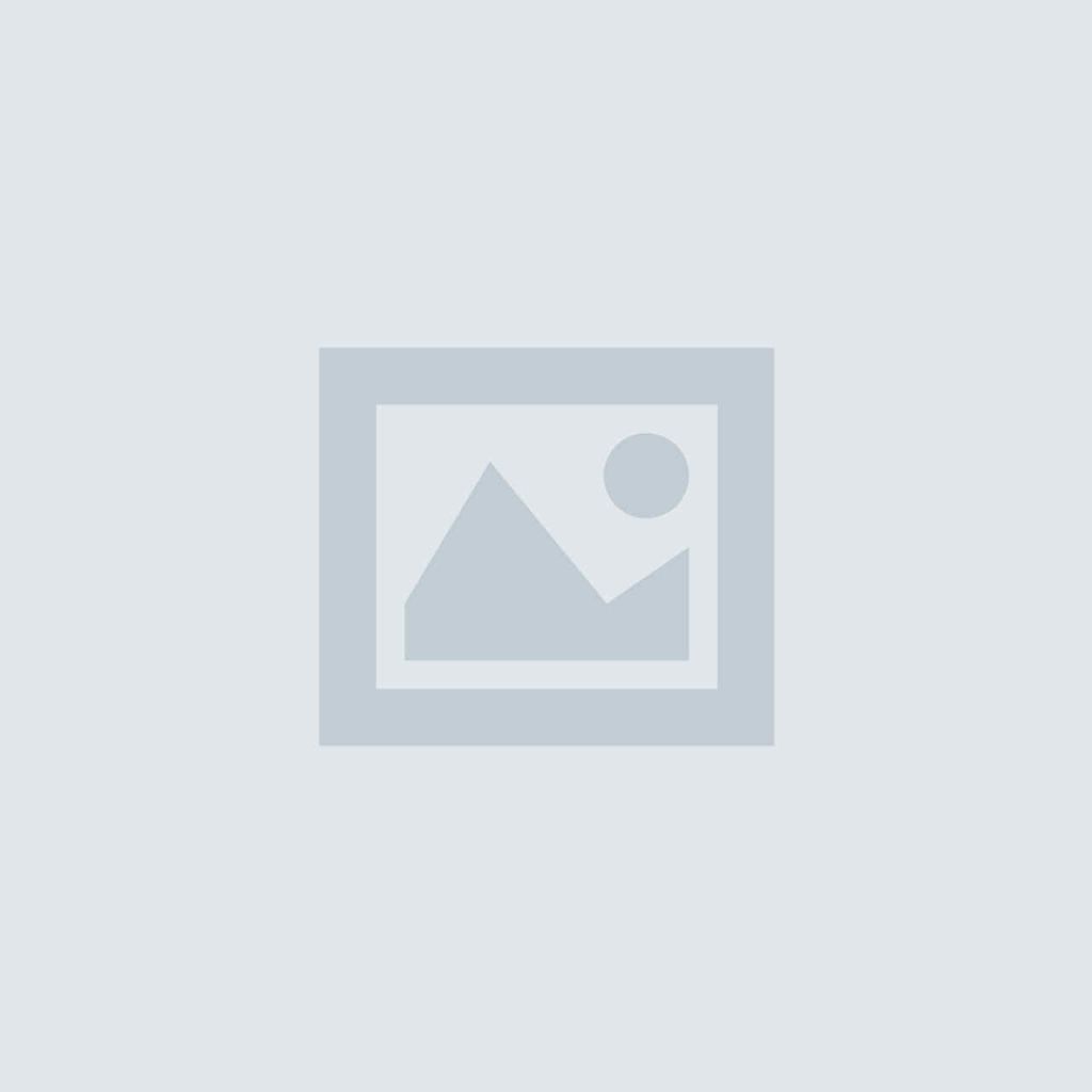 Lorem Ipsum. Proin gravida nibh vel velit auctor aliquet. Aenean sollicitudin, lorem quis bibendum auctor, nisi elit consequat ipsum, nec sagittis sem nibh id elit.